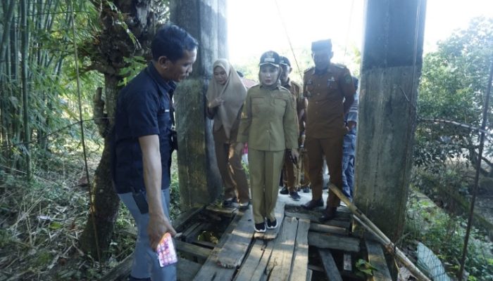 Wali Kota Palopo Tinjau Lokasi Pembangunan Jembatan Gantung Pajalesang