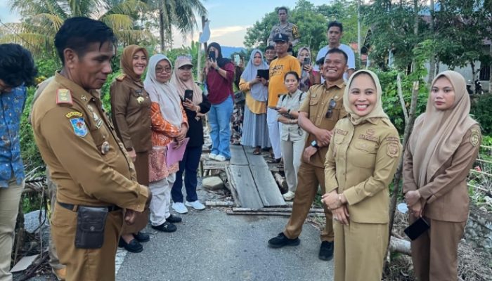 Wali Kota Palopo Tinjau Jembatan Penghubung Batu Walenrang–Mancani