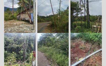 Kabel Semrawut dan Tiang Miring di Jalur Provinsi Resahkan Warga