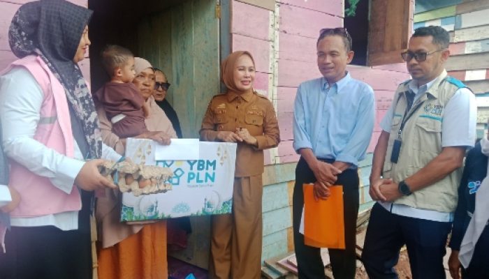 Peringati Hari Ibu, Pemkot Palopo Bersama PLN Salurkan Bantuan Gizi untuk Ibu Hamil dan Balita