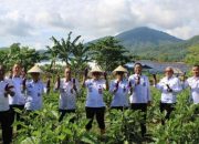 Dukung Ketahanan Pangan, Lapas Palopo Panen Sayur dan Beri Pakan Ikan di SAE