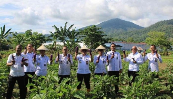 Dukung Ketahanan Pangan, Lapas Palopo Panen Sayur dan Beri Pakan Ikan di SAE