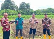 Program Kemandirian, Lapas Palopo Panen Hasil Pertanian Warga Binaan