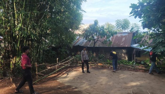 Respons Cepat Aduan Warga, Polres Palopo Bongkar Dua Arena Sabung Ayam