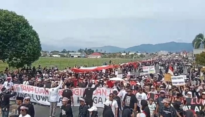 Ribuan Masyarakat Luwu Utara Gelar Long March Tuntut DOB Provinsi Luwu Raya