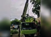 Program Rutin DLH Palopo, Penopingan dan Pemangkasan Pohon di Area Polsek Wara