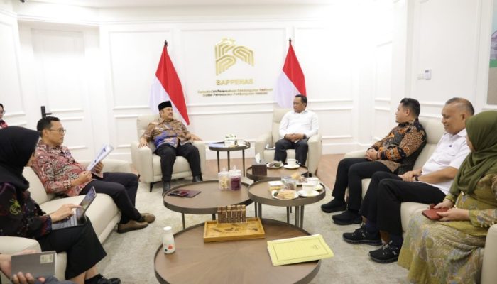 Pemkab Luwu Temui Kepala Bappenas, Bahas Percepatan Pembangunan RS Walmas dan Infrastruktur