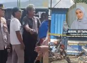 Viral di Medsos Terduga Pelaku Tewasnya Penjaga BRI Link Telah Tertangkap, Kapolsek Walenrang : Mohon Diluruskan
