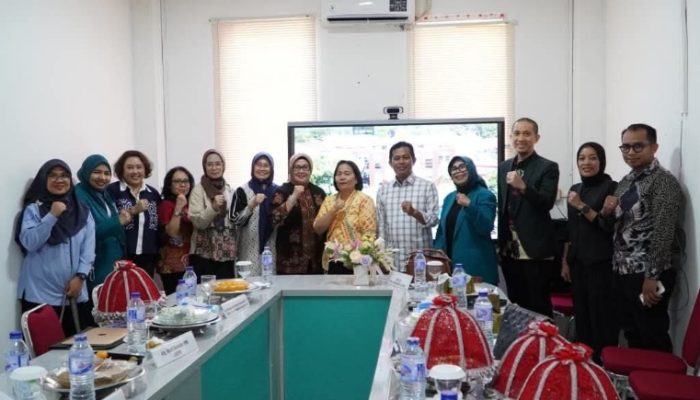 Pj Sekda Palopo Buka Bimtek ARSPI di RSUD Sawerigading