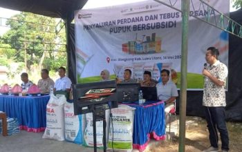 Andi Rahim Pastikan Penyaluran Pupuk Bersubsidi Tepat Sasaran di Rongkong