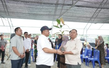 Bupati Luwu Bersama Anggota DPR RI Unru Baso Tinjau Lokasi Pembibitan Kakao
