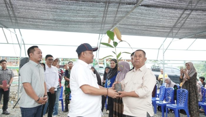 Bupati Luwu Bersama Anggota DPR RI Unru Baso Tinjau Lokasi Pembibitan Kakao