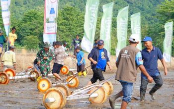 IP300 Resmi Dicanangkan, Bupati Luwu Targetkan Produksi Meningkat