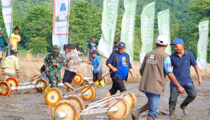 IP300 Resmi Dicanangkan, Bupati Luwu Targetkan Produksi Meningkat
