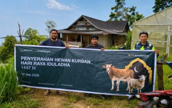 MDA Tebar 34 Ekor Sapi Kurban untuk Masyarakat di 21 Desa Latimojong