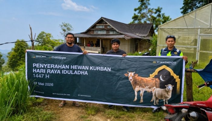 MDA Tebar 34 Ekor Sapi Kurban untuk Masyarakat di 21 Desa Latimojong