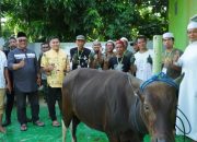 Kodim 1403 Palopo Bagikan Daging Kurban untuk Prajurit, Warga dan Anak Yatim