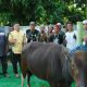 Kodim 1403 Palopo Bagikan Daging Kurban untuk Prajurit, Warga dan Anak Yatim