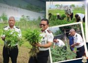 Lapas Palopo Panen Sayuran Hasil Budidaya WBP, Dukung Program Ketahanan Pangan