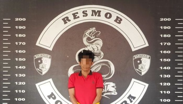 Pelaku Pemarangan Petugas Portal RSUD Andi Djemma Ditangkap Kurang dari 24 Jam