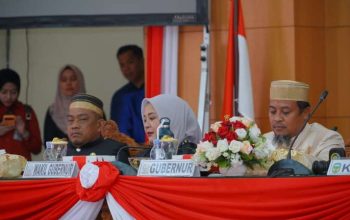 Hari Jadi ke-67 Luwu, Gubernur Sulsel Tegaskan Komitmen Perkuat Infrastruktur dan Layanan Dasar