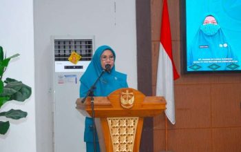 TP PKK Sulsel dan TP PKK Luwu Perkuat Sinergi Pelaksanaan Program Pokok PKK