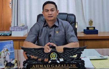 DPRD Luwu Tegas Tolak Tambang Emas Ilegal di Marinding, Desak Penindakan Menyeluruh