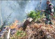 Kebakaran Hutan Lindung di Luwu, Petugas Gabungan TNI-Polri Bergerak Padamkan Api