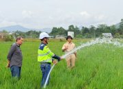 Kemarau Melanda Luwu, MDA dan Pemkab Salurkan Air ke 70 Hektare Sawah