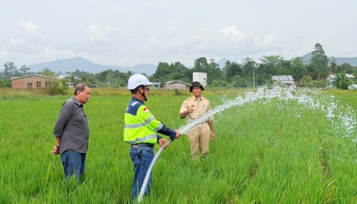 Kemarau Melanda Luwu, MDA dan Pemkab Salurkan Air ke 70 Hektare Sawah