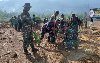 Sambut HUT TNI ke-81, Kodim 1403/Palopo Tanam 2.500 Bibit Mangrove di Luwu Timur