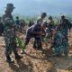 Sambut HUT TNI ke-81, Kodim 1403/Palopo Tanam 2.500 Bibit Mangrove di Luwu Timur