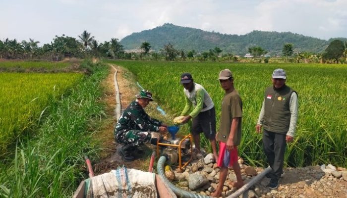 Atasi Krisis Air, Babinsa Walenrang Bantu Petani Bangun Sumur untuk Irigasi 39,8 Hektare Sawah